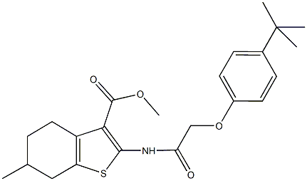 methyl 2-{[(4-tert-butylphenoxy)acetyl]amino}-6-methyl-4,5,6,7-tetrahydro-1-benzothiophene-3-carboxylate Struktur