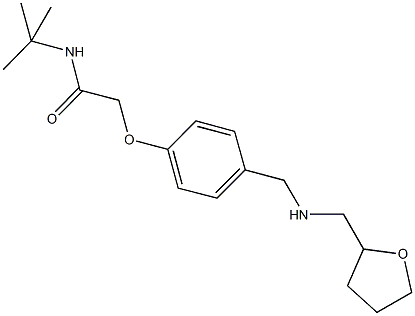 N-(tert-butyl)-2-(4-{[(tetrahydro-2-furanylmethyl)amino]methyl}phenoxy)acetamide Struktur