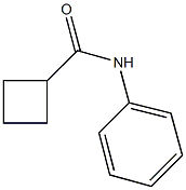 N-phenylcyclobutanecarboxamide Struktur