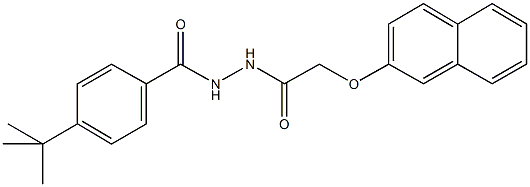 N'-(4-tert-butylbenzoyl)-2-(2-naphthyloxy)acetohydrazide Struktur