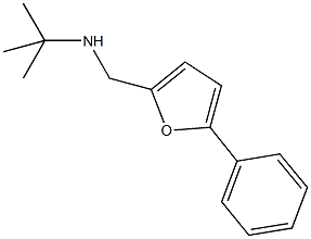 N-(tert-butyl)-N-[(5-phenyl-2-furyl)methyl]amine Struktur