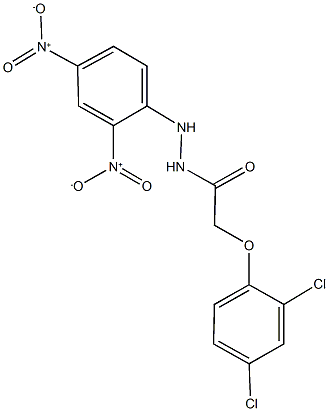 N'-{2,4-dinitrophenyl}-2-(2,4-dichlorophenoxy)acetohydrazide Struktur