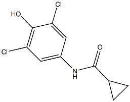 N-(3,5-dichloro-4-hydroxyphenyl)cyclopropanecarboxamide Struktur