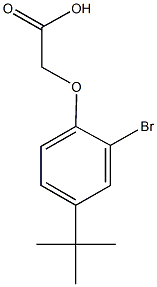 (2-bromo-4-tert-butylphenoxy)acetic acid Struktur