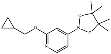 2-(cyclopropylmethoxy)-4-(4,4,5,5-tetramethyl-1,3,2-dioxaborolan-2-yl)pyridine Struktur