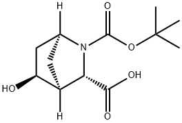 (1S,3S,4S,5S)-REL-2-BOC-5-HYDROXY-2-AZABICYCLO[2.2.1]HEPTANE-3-CARBOXYLIC ACID Struktur