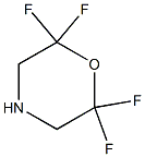 2,2,6,6-TETRAFLUOROMORPHOLINE Struktur