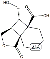 (1S,5S,6S,7R)-6-(hydroxymethyl)-2-oxo-3-oxatricyclo[5.4.0.0]undecane-7-carboxylic acid Struktur