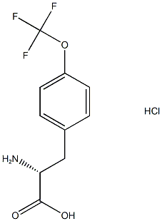 (2R)-2-amino-3-[4-(trifluoromethoxy)phenyl]propanoic acid hydrochloride Struktur