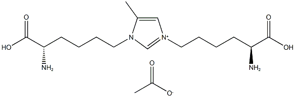 MOLD Struktur