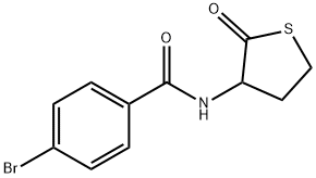 4-bromo-N-(2-oxothiolan-3-yl)benzamide Struktur