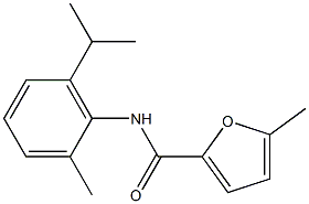 5-methyl-N-(2-methyl-6-propan-2-ylphenyl)furan-2-carboxamide Struktur