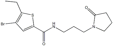 4-bromo-5-ethyl-N-[3-(2-oxopyrrolidin-1-yl)propyl]thiophene-2-carboxamide Struktur