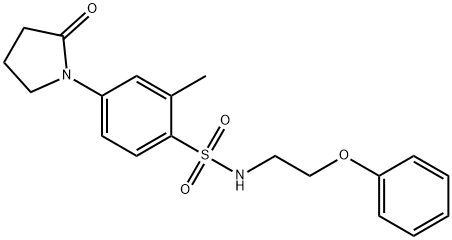 2-methyl-4-(2-oxopyrrolidin-1-yl)-N-(2-phenoxyethyl)benzenesulfonamide Struktur