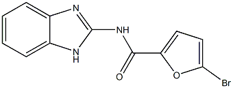 N-(1H-benzimidazol-2-yl)-5-bromofuran-2-carboxamide Struktur