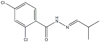 2,4-dichloro-N-[(E)-2-methylpropylideneamino]benzamide Struktur