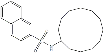 N-cyclododecylnaphthalene-2-sulfonamide Struktur