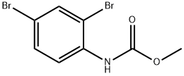 methyl N-(2,4-dibromophenyl)carbamate Struktur