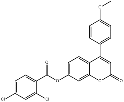 [4-(4-methoxyphenyl)-2-oxochromen-7-yl] 2,4-dichlorobenzoate Struktur