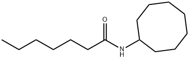 N-cyclooctylheptanamide Struktur