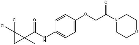 2,2-dichloro-1-methyl-N-[4-(2-morpholin-4-yl-2-oxoethoxy)phenyl]cyclopropane-1-carboxamide Struktur