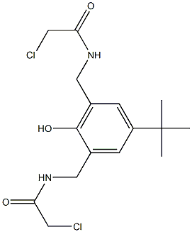 N-[[5-tert-butyl-3-[[(2-chloroacetyl)amino]methyl]-2-hydroxyphenyl]methyl]-2-chloroacetamide Struktur