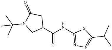 1-tert-butyl-5-oxo-N-(5-propan-2-yl-1,3,4-thiadiazol-2-yl)pyrrolidine-3-carboxamide Struktur