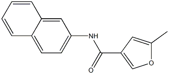 5-methyl-N-naphthalen-2-ylfuran-3-carboxamide Struktur