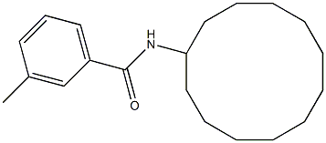 N-cyclododecyl-3-methylbenzamide Struktur