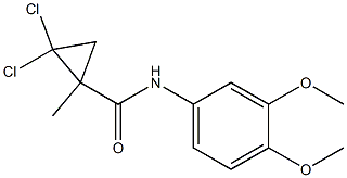 2,2-dichloro-N-(3,4-dimethoxyphenyl)-1-methylcyclopropane-1-carboxamide Struktur