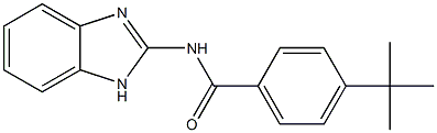 N-(1H-benzimidazol-2-yl)-4-tert-butylbenzamide Struktur