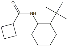 N-(2-tert-butylcyclohexyl)cyclobutanecarboxamide Struktur