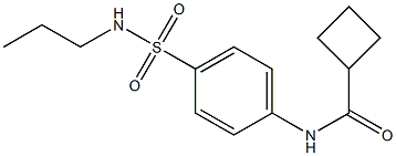 N-[4-(propylsulfamoyl)phenyl]cyclobutanecarboxamide Struktur