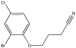 4-(2-bromo-4-chlorophenoxy)butanenitrile Struktur