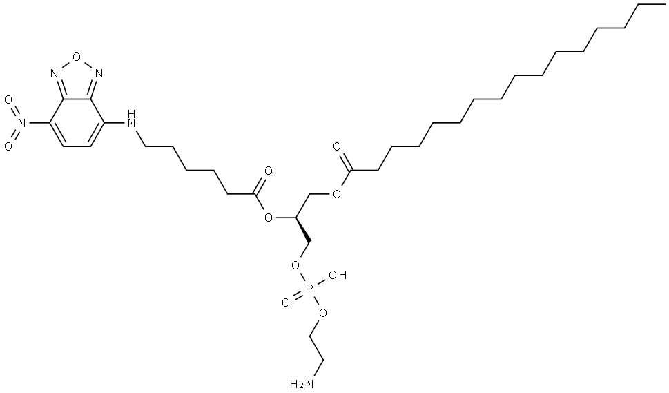 1,2-(palmitoyl-NBD-aminocaproyl)phosphatidylethanolamine Struktur