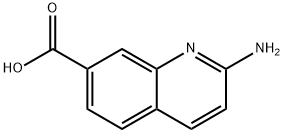 2-AMinoquinoline-7-carboxylic acid Struktur