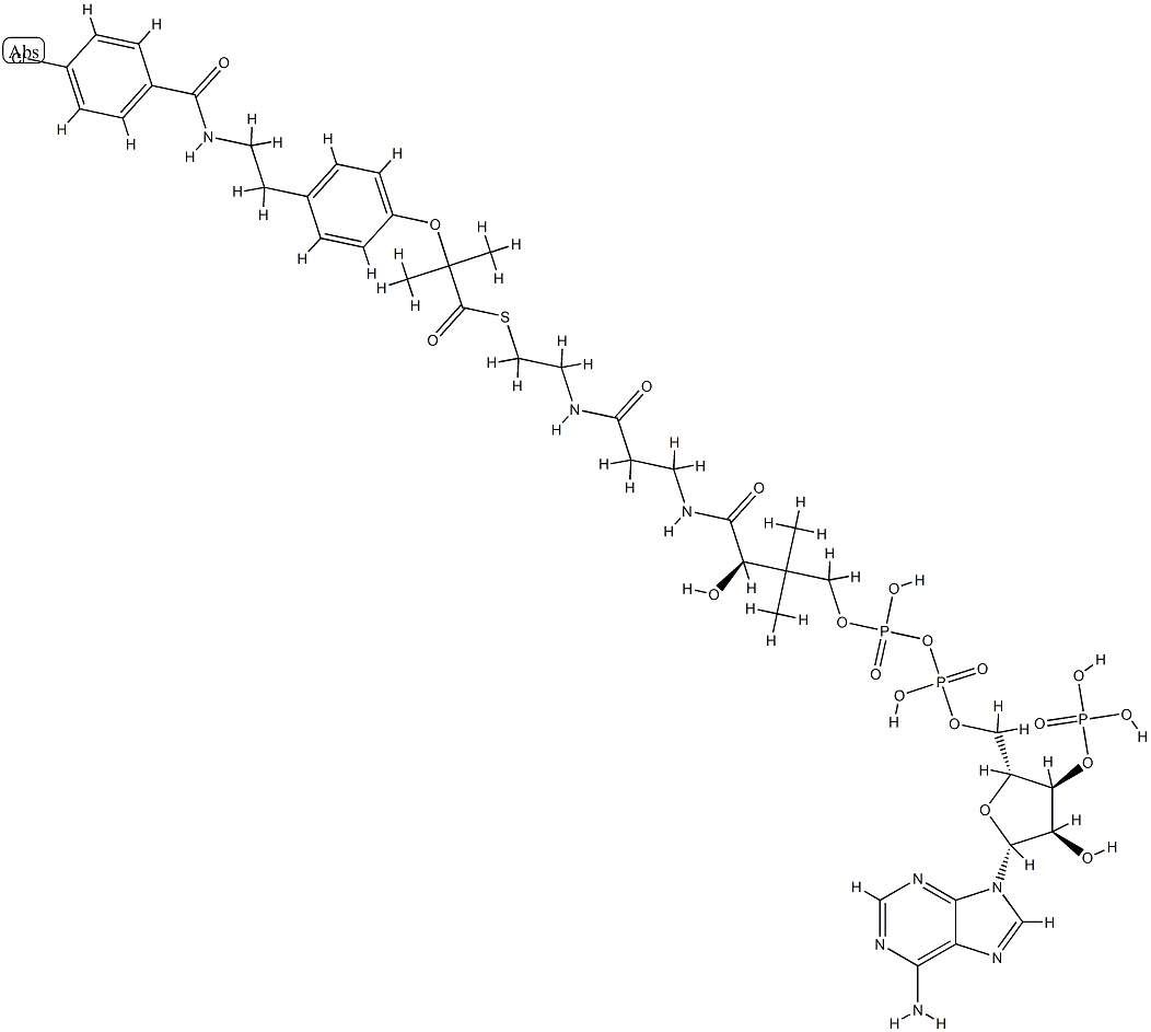 bezafibroyl-coenzyme A Struktur