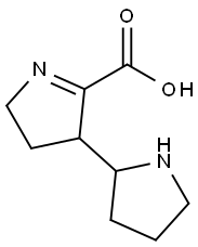 1-Pyrroline-2-carboxylicacid,3-(2-pyrrolidinyl)-(6CI) Struktur