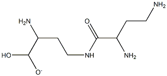 gamma-poly-alpha,gamma-diaminobutyric acid Struktur