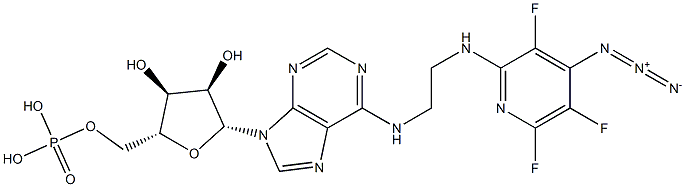 N(6)-(N((4-azido-3,5,6-trifluoro)pyridin-2-yl)-2-aminoethyl)adenosine 5'-monophosphate Struktur