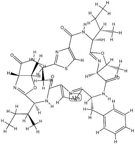 patellamide D Struktur