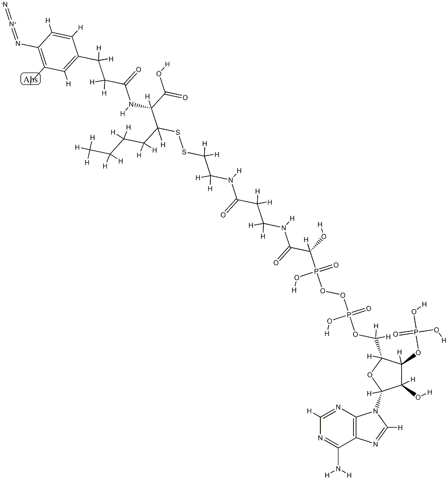 N-(3-iodo-4-azidophenylpropionamido)cysteinyl-5-(2'-thiopyridyl)cysteine-coenzyme A Struktur