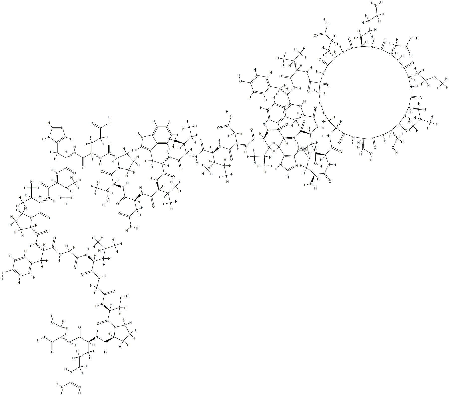 big endothelin Struktur