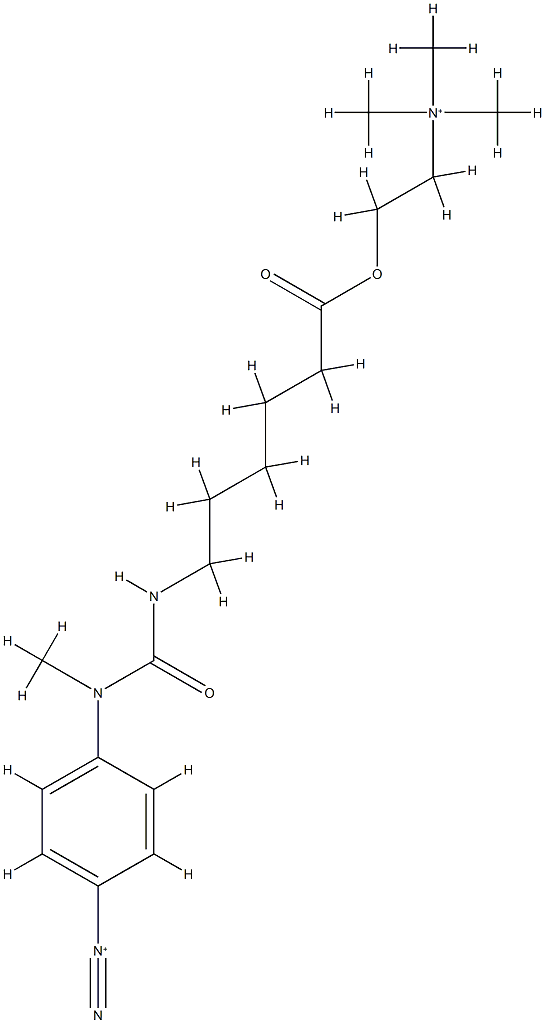 (N'-methyl,N'-4-diazonium phenyl)(N-6-hexanoic acid, 2-(trimethylammonium)ethyl ester)urea Struktur