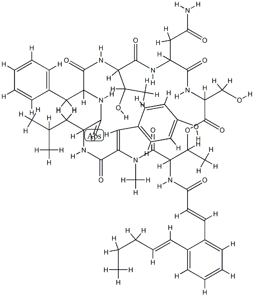 WS 9326A Struktur