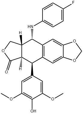 NPF-etoposide Struktur