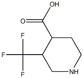 3-Trifluoromethyl-piperidine-4-carboxylic acid Struktur