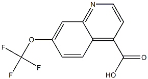 7-trifluoromethoxy-quinoline-4-carboxylic acid Struktur