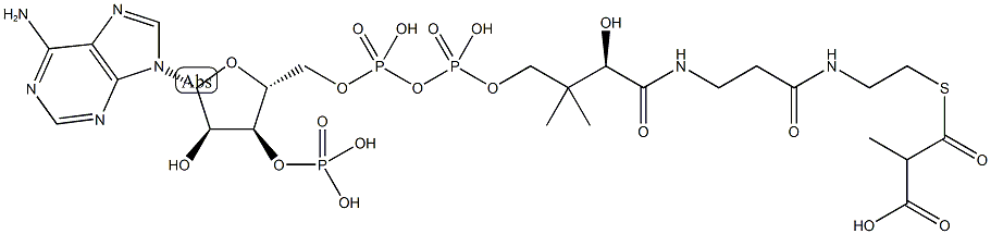 methylmalonyl-coenzyme A Struktur