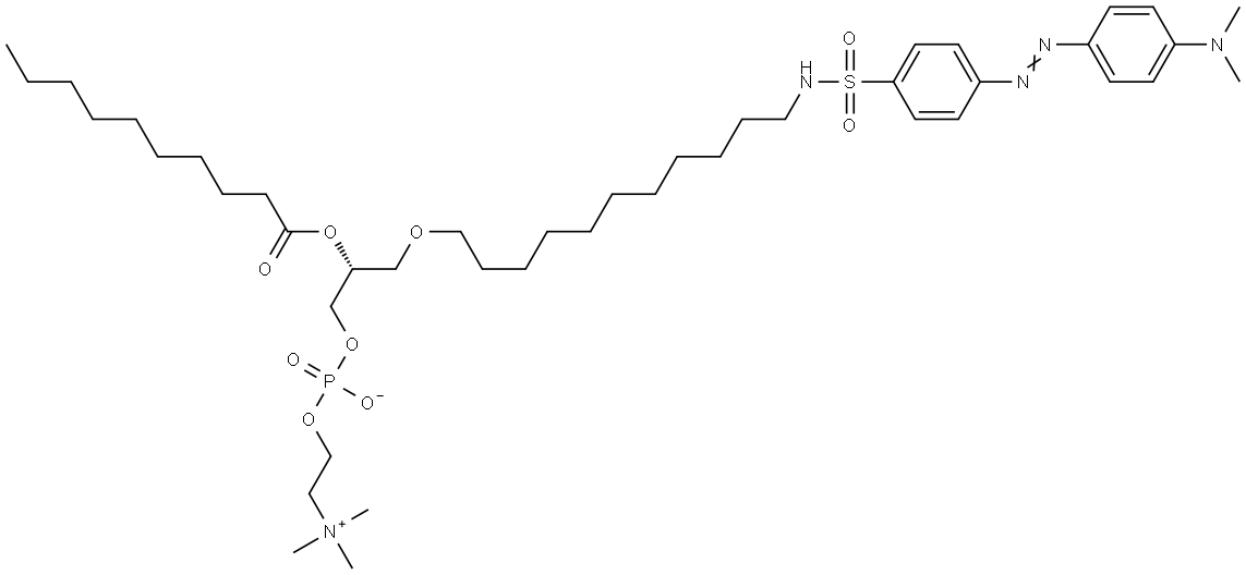 1-O-(N-dabsyl-11-amino-1-undecyl)-2-O-decanoylphosphatidylcholine Struktur